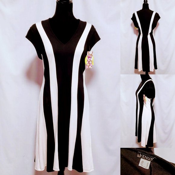 VENUS Dresses & Skirts - 💋Venus Vertical Striped Fit-Flare Dress size 14